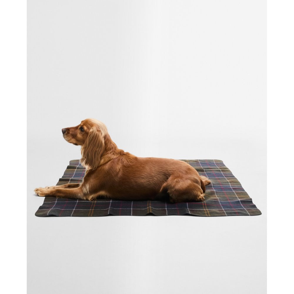 Dog Tartan Blanket - Classic Tartan