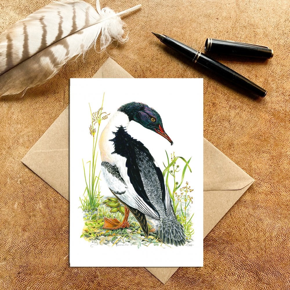 Male Goosander Card