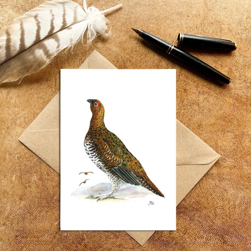 Male Red Grouse Card