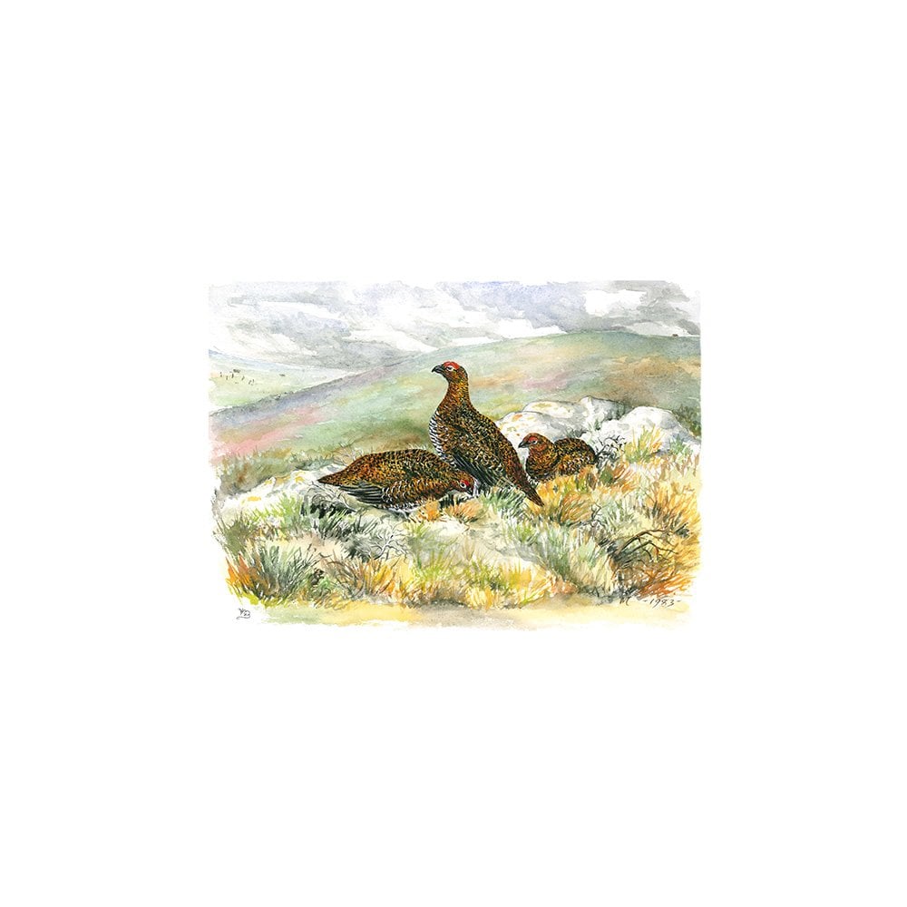 Three Red Grouse on the Moor Card