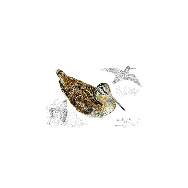 Woodcock Card