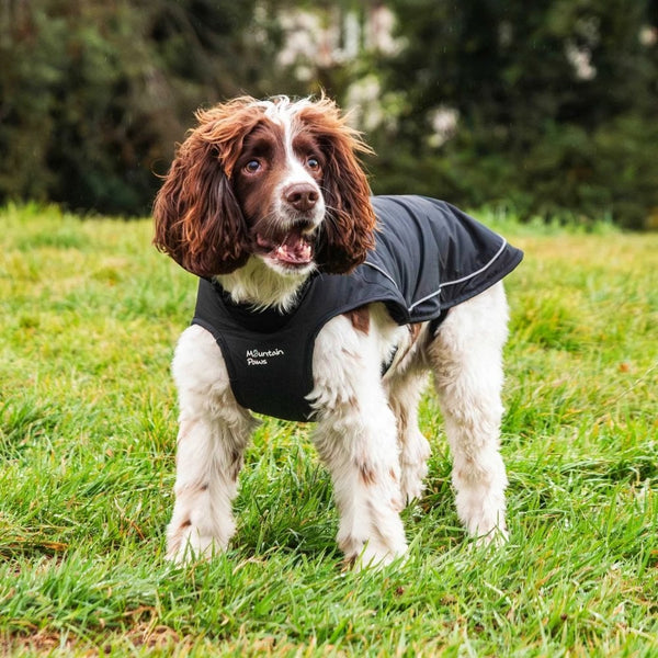 Fleece Lined Dog Coat in Black