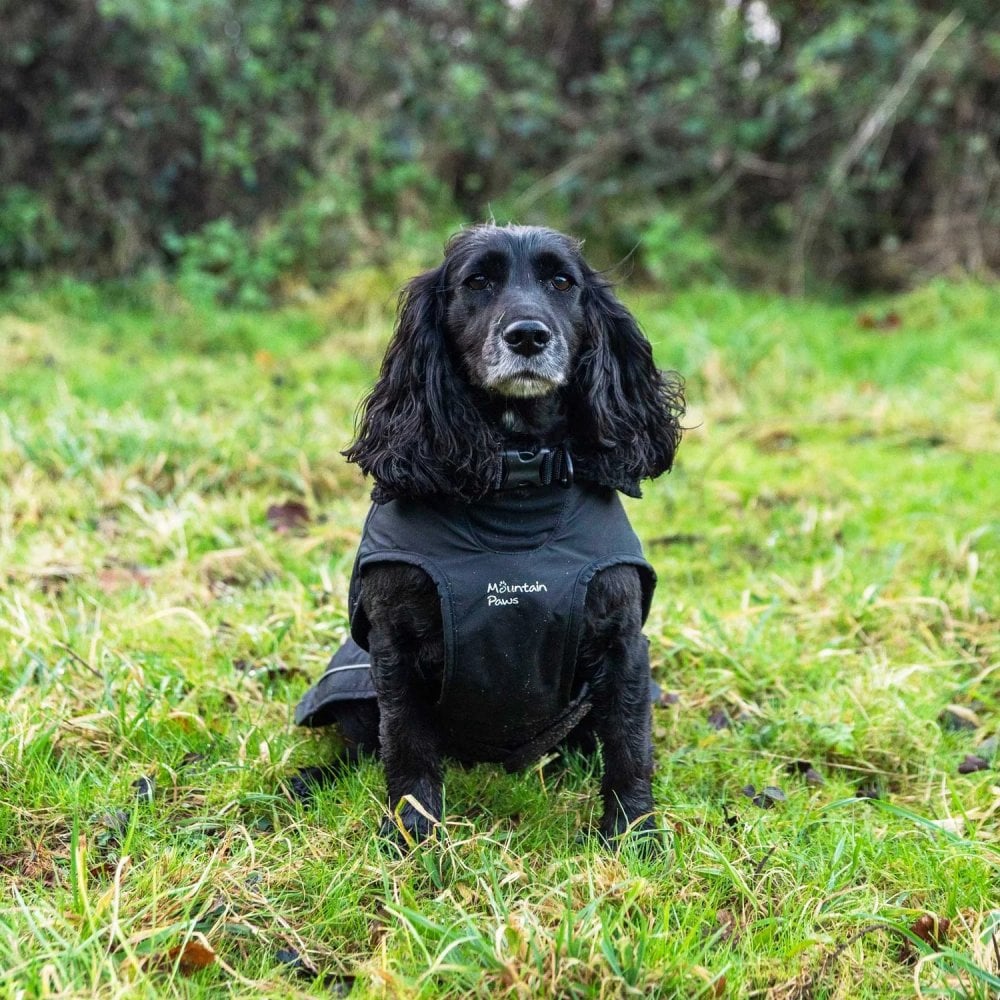 Fleece Lined Dog Coat in Black