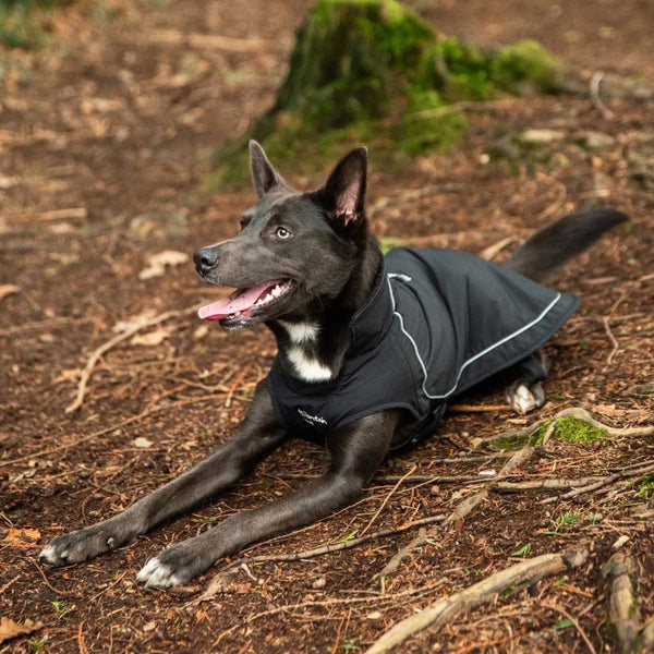 Fleece Lined Dog Coat in Black