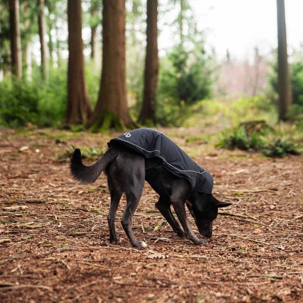 Fleece Lined Dog Coat in Black