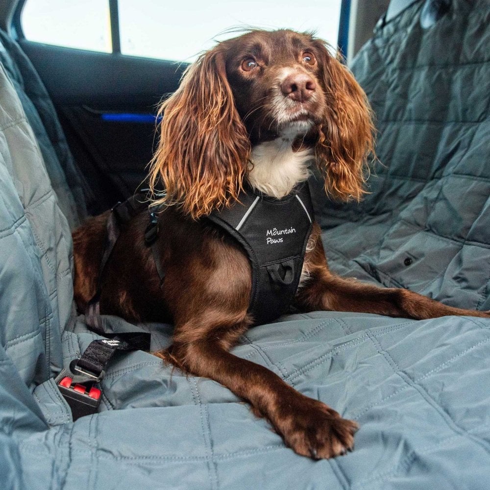Dog Car Back Seat Cover