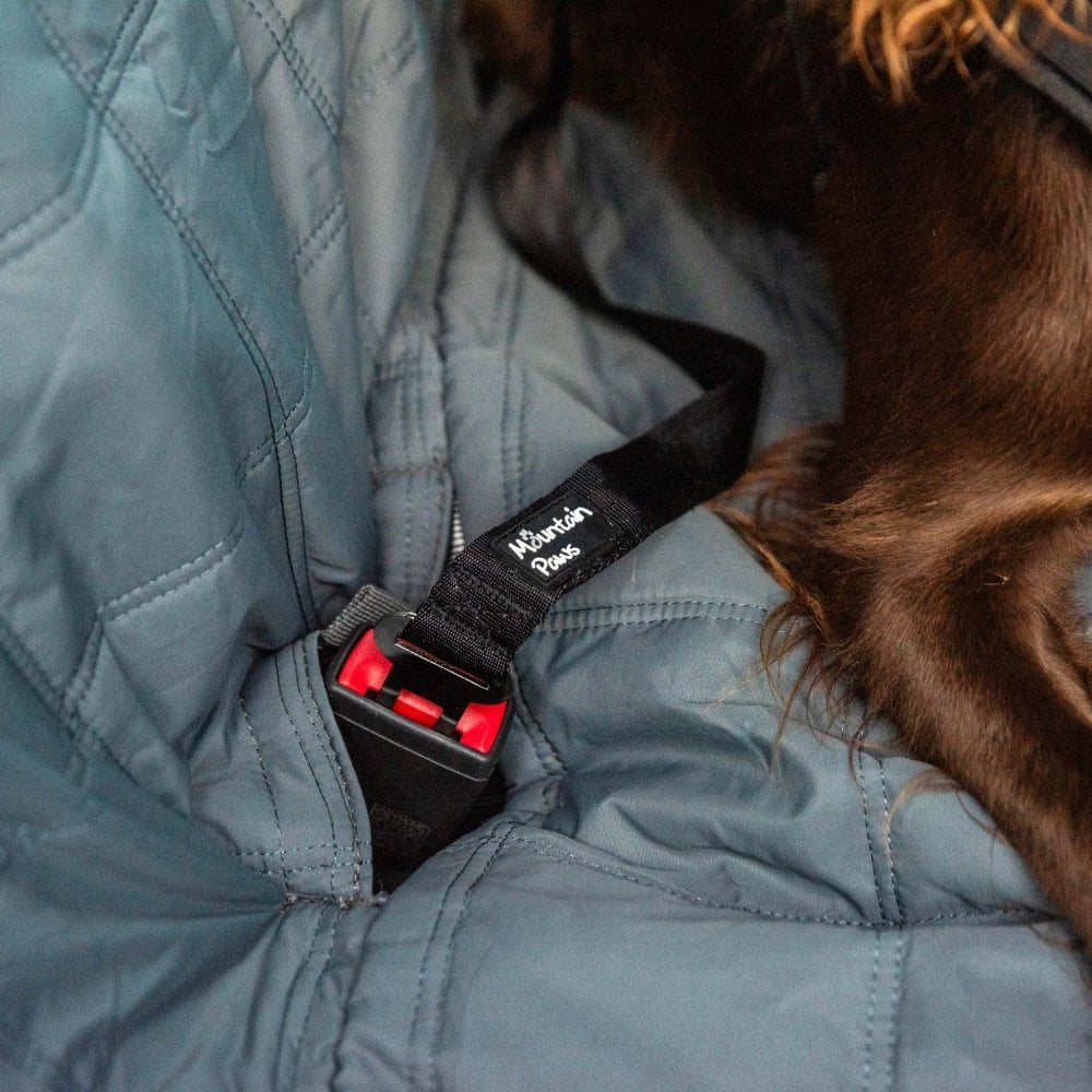 Dog Car Back Seat Cover