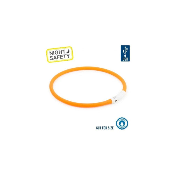 Flashing LED Rechargeable USB Collars