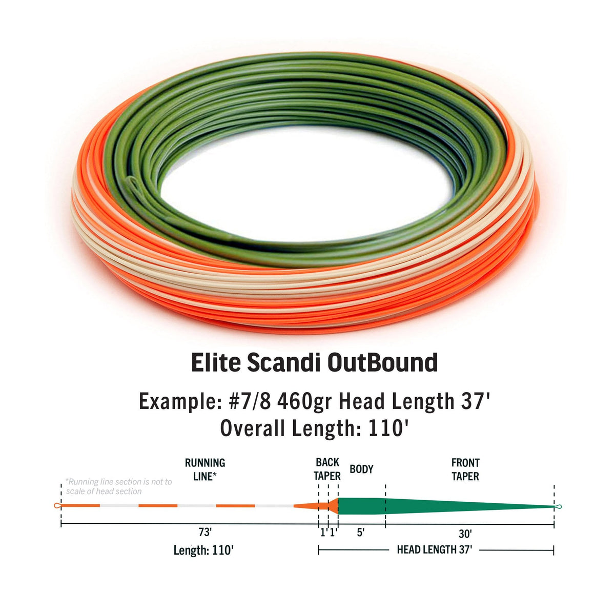 Elite Scandi Outbound Fly Lines