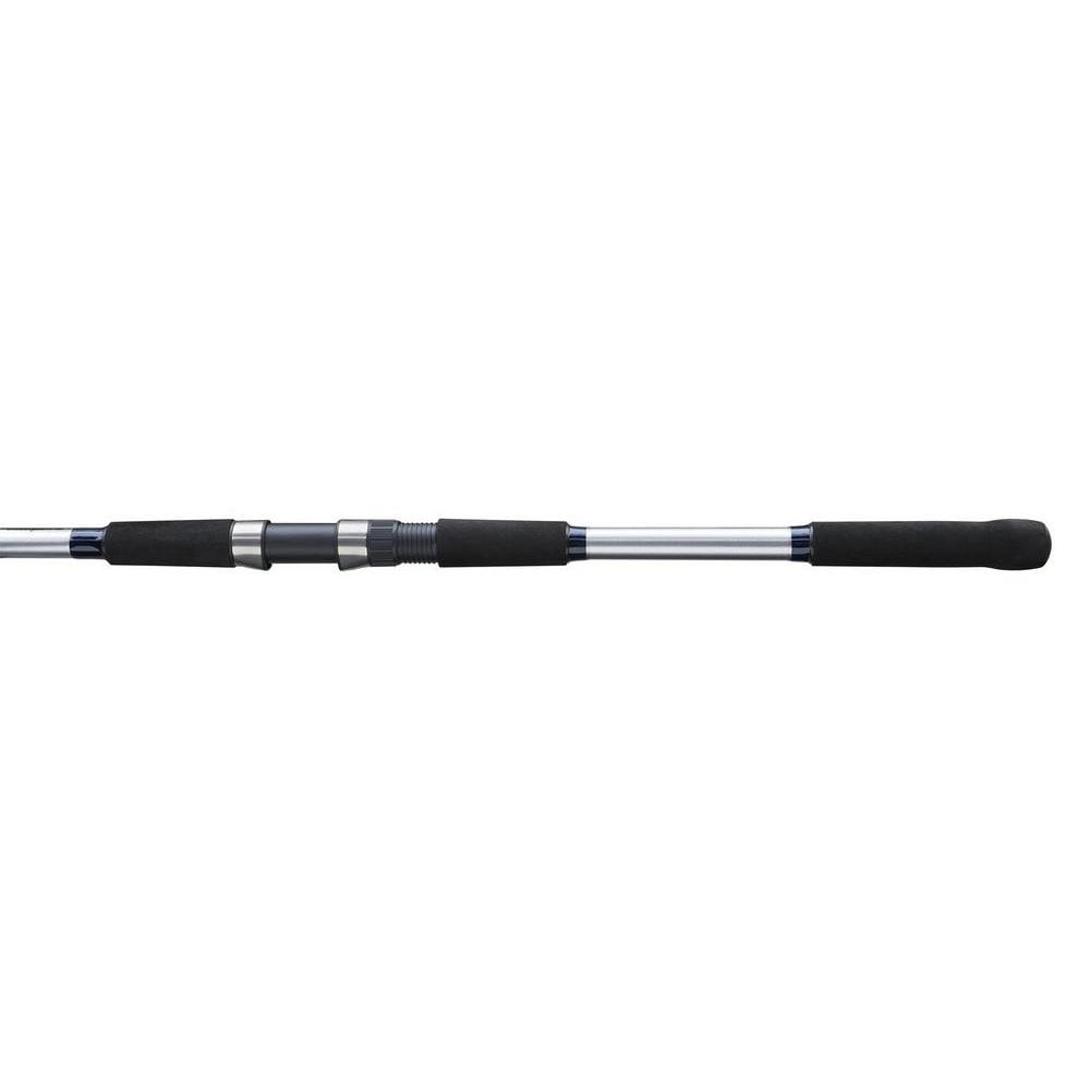 Salt Seabass Searcher Combo Set
