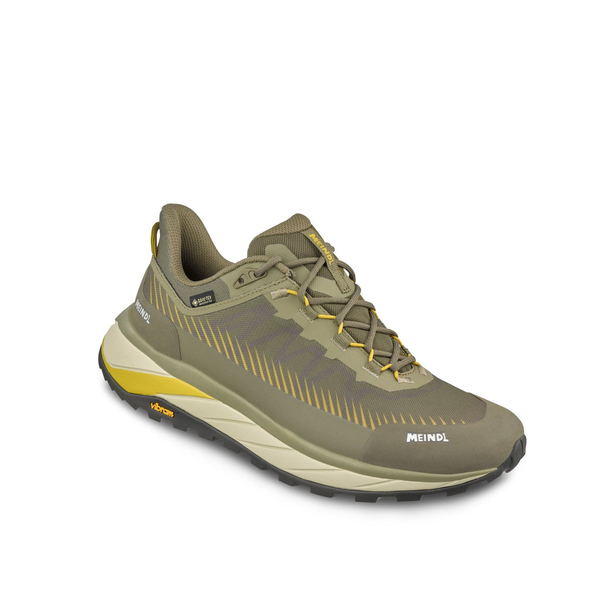 Eldora GTX Walking Shoe