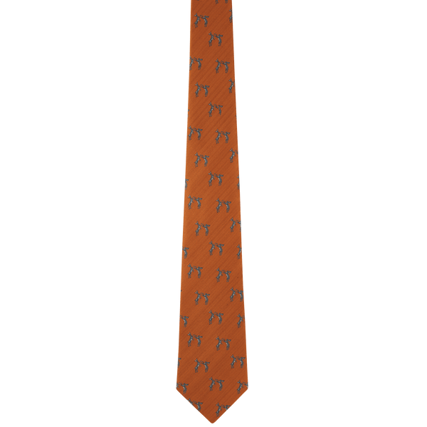 Ashford Silk Tie