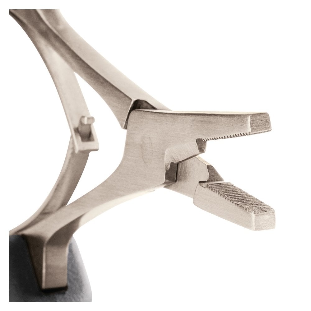 Precision Forceps