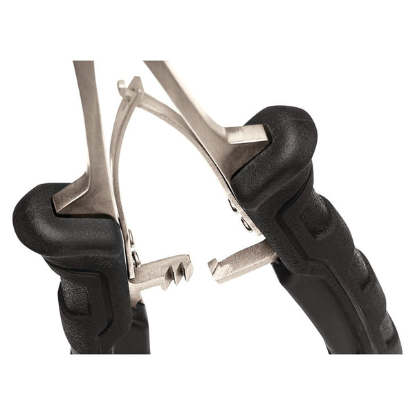 Precision Forceps