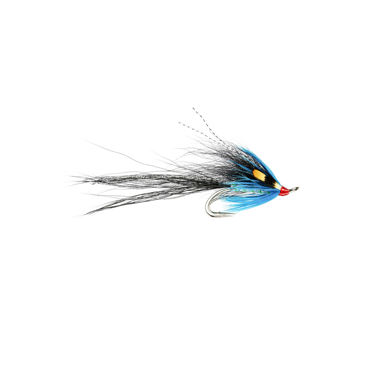 Gledswood Blue Double with Jungle Cock