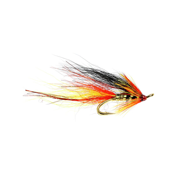 Park Shrimp Patriot Double with Jungle Cock