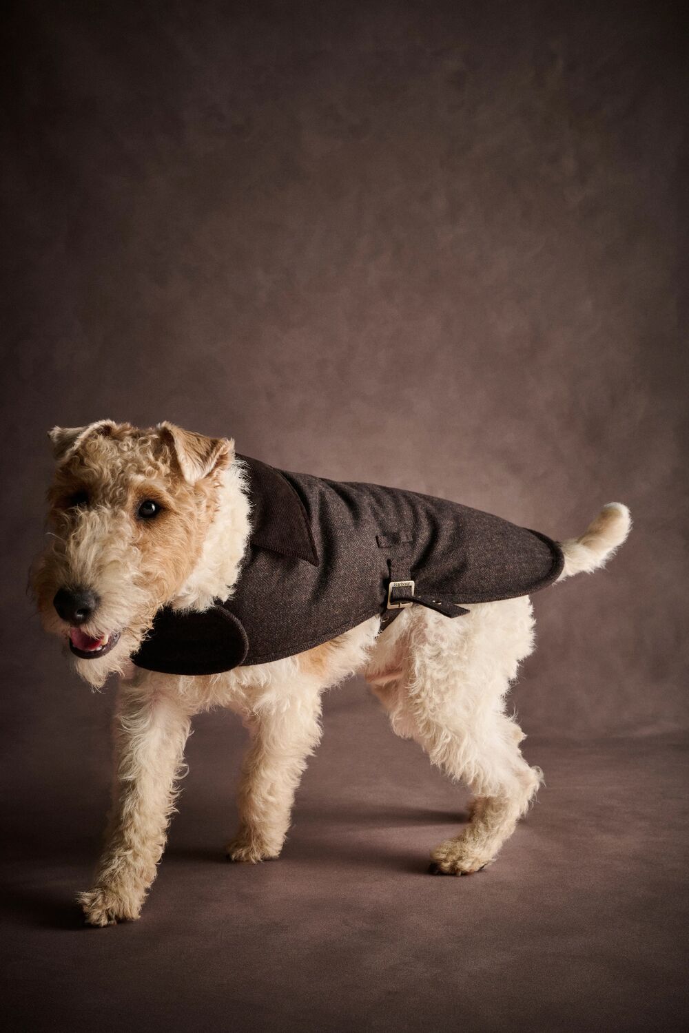 Barlow Tweed Dog Coat - Brown