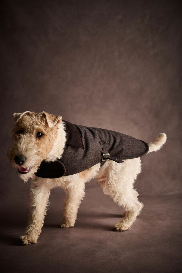 Barlow Tweed Dog Coat - Brown