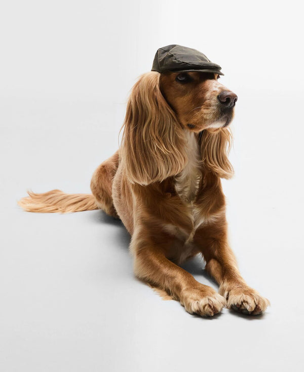 Dog Wax Flat Cap - Olive