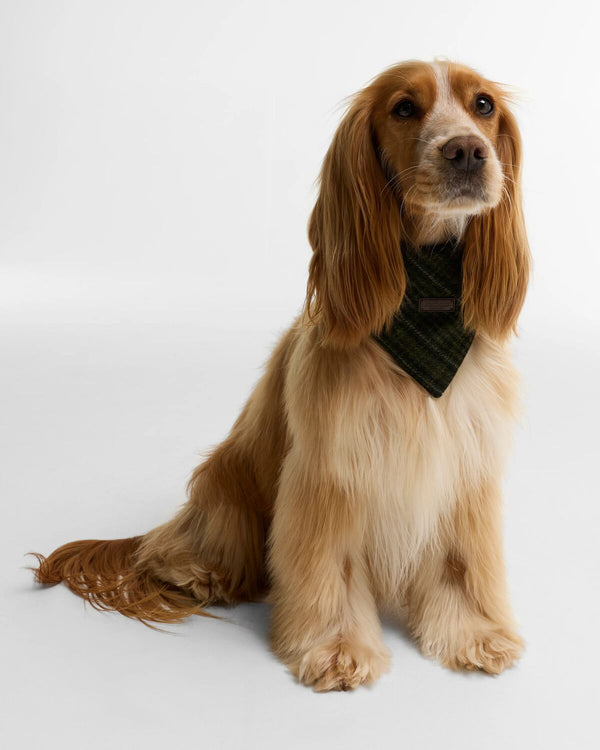 Wilkin Dog Bandana