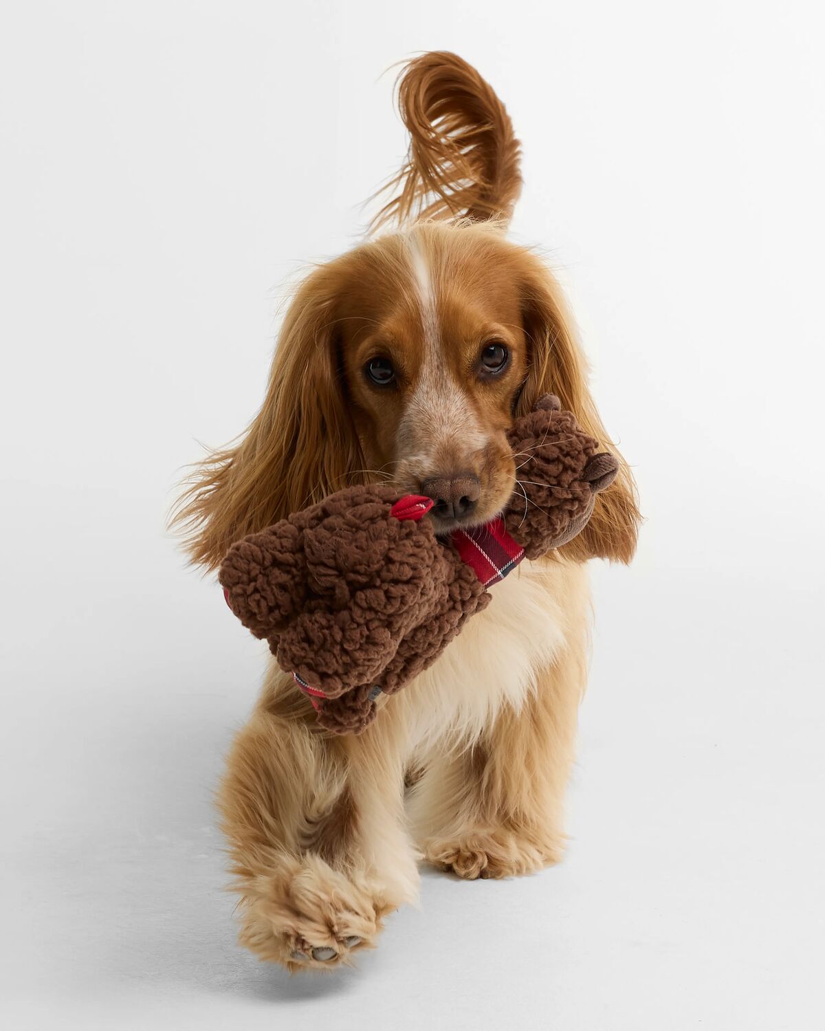 Dog Llama Toy