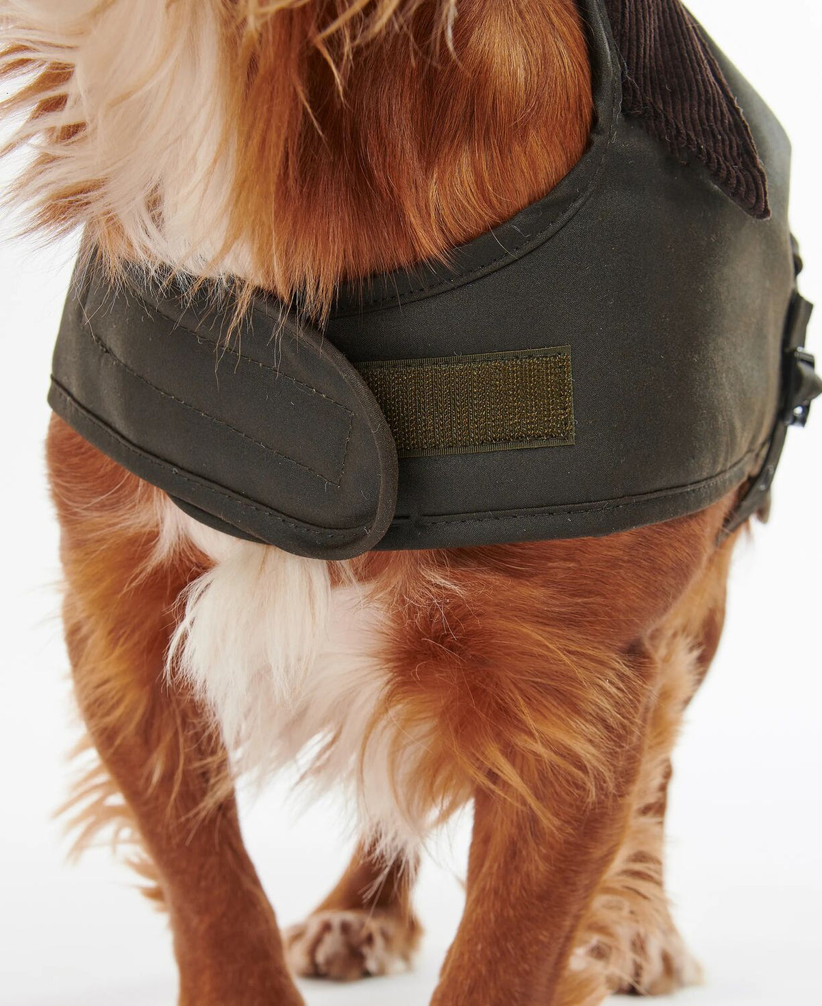 Waxed Dog Coat