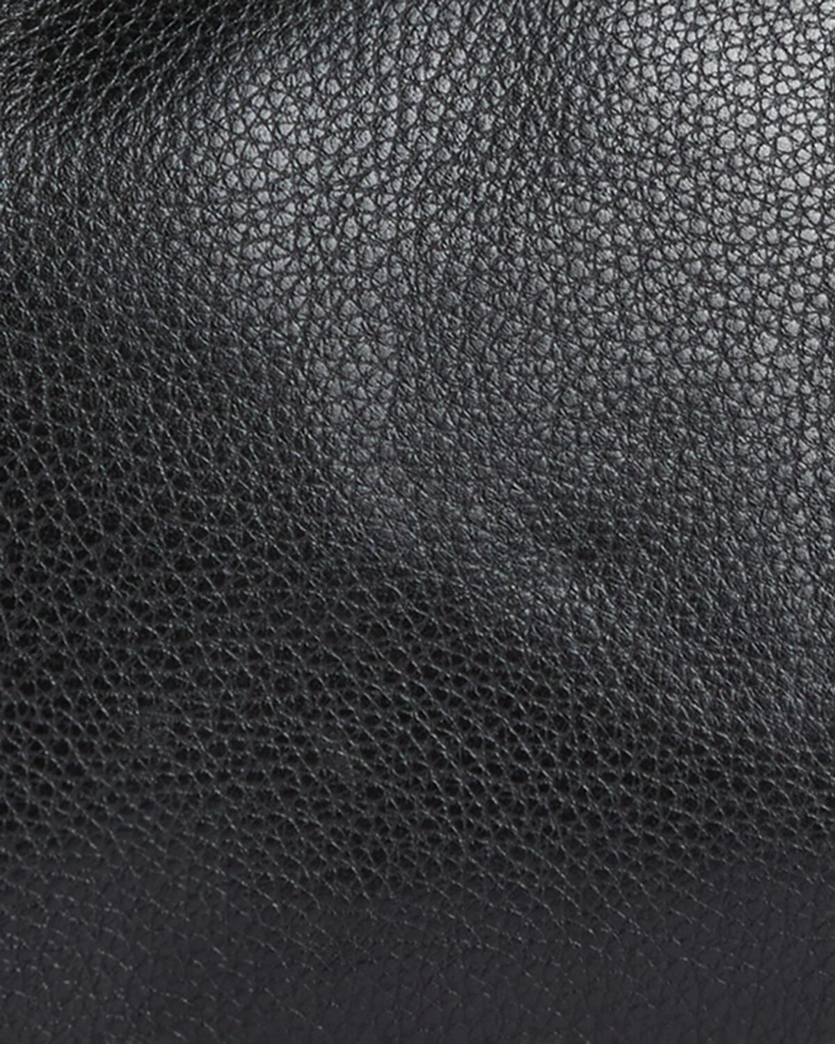 Alder Mini Leather Tote Bag