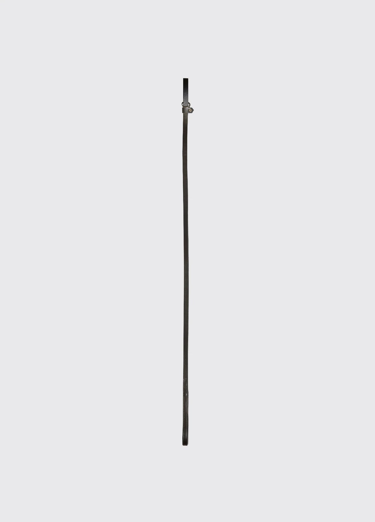 Riley 5ft Leather slip lead - Mahogany