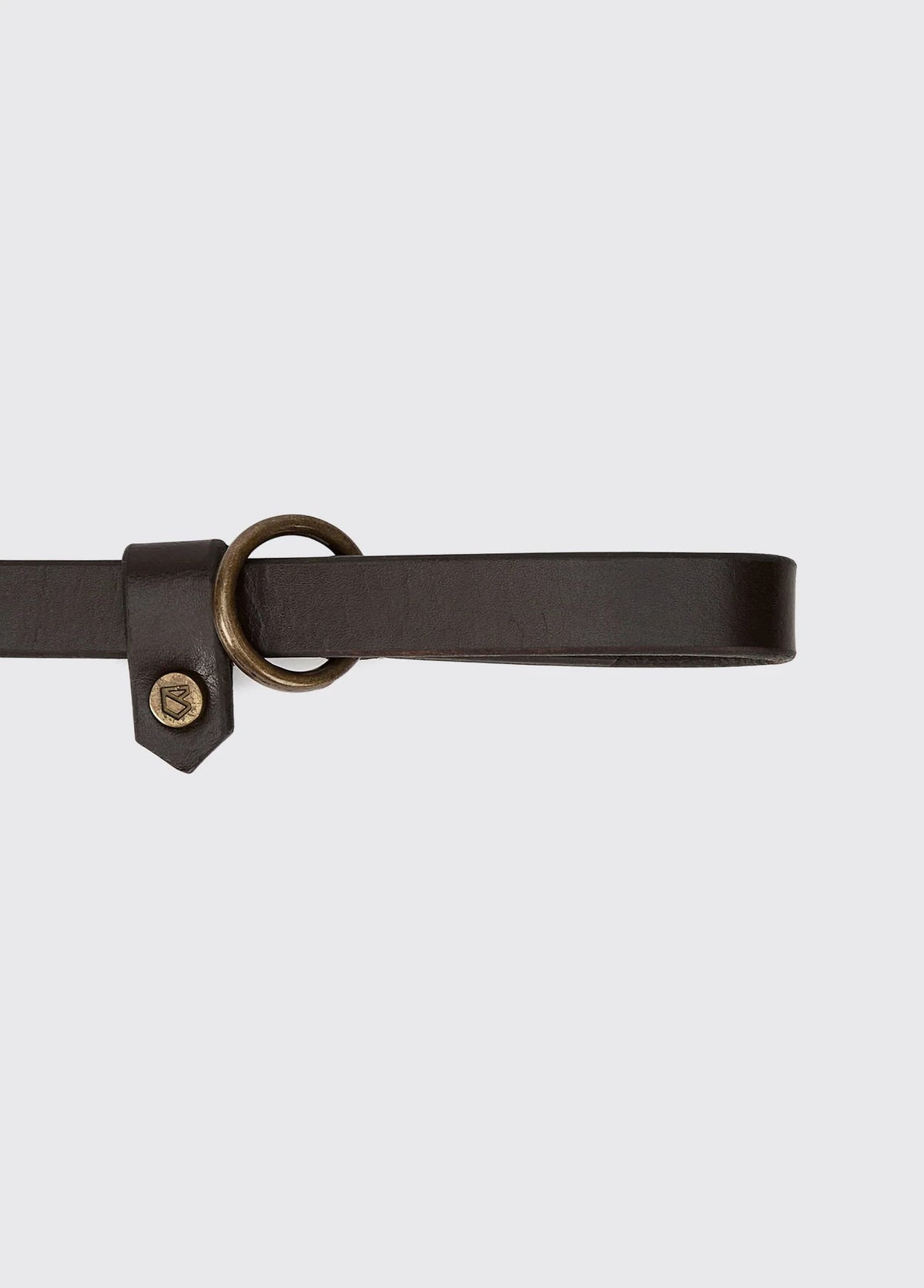 Riley 5ft Leather slip lead - Mahogany