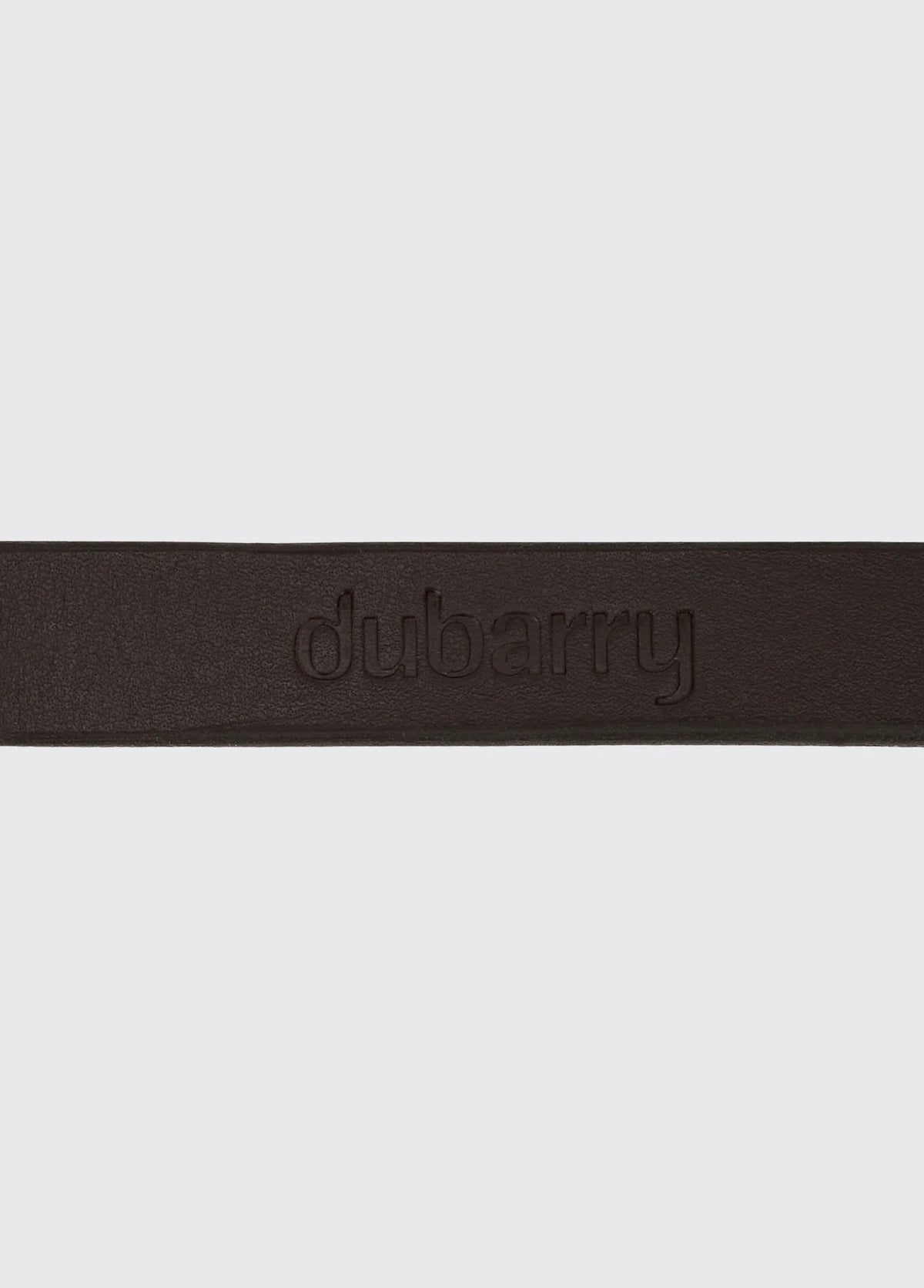 Riley 5ft Leather slip lead - Mahogany