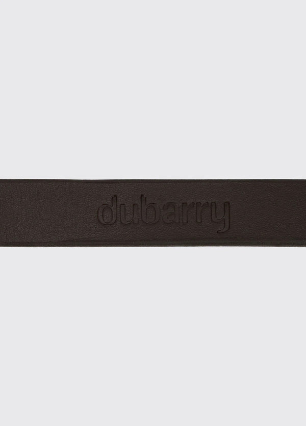 Riley 5ft Leather slip lead - Mahogany