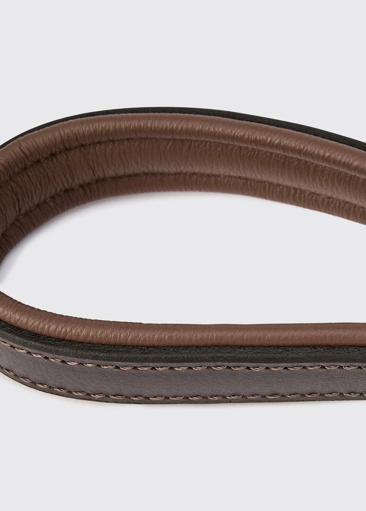 Riley 5ft Leather slip lead - Mahogany